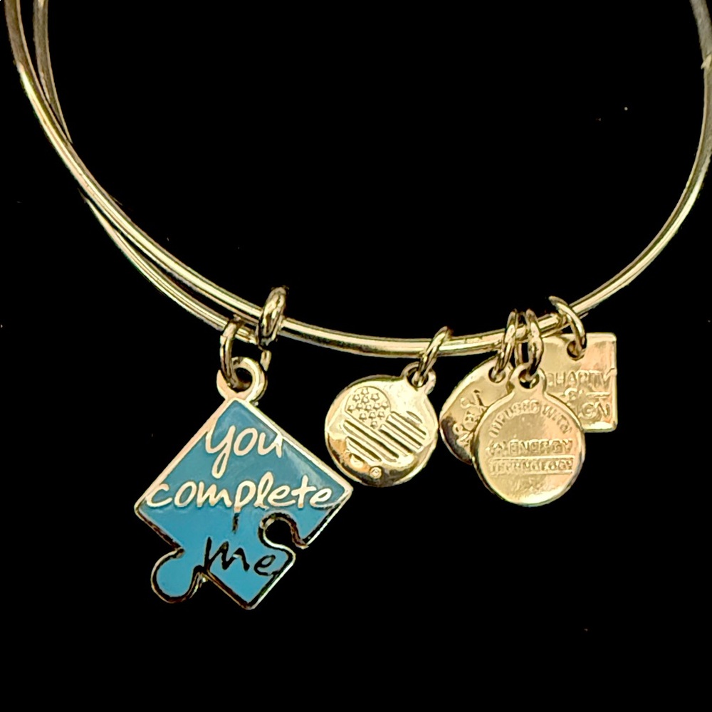 Alex and Ani silver You Complete Me Charm Bracelet
